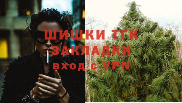 спиды Ростов