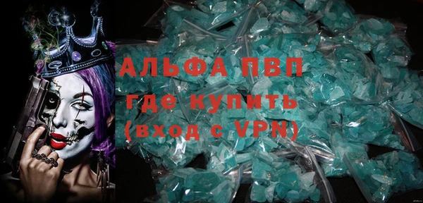 PSILOCYBIN Рославль