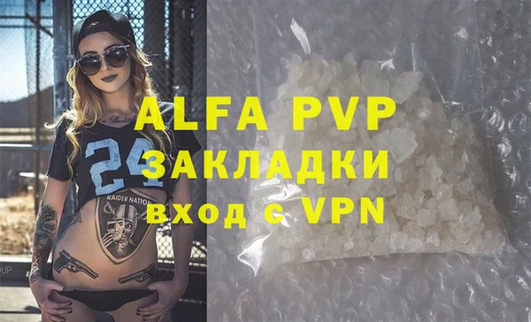 PSILOCYBIN Рославль