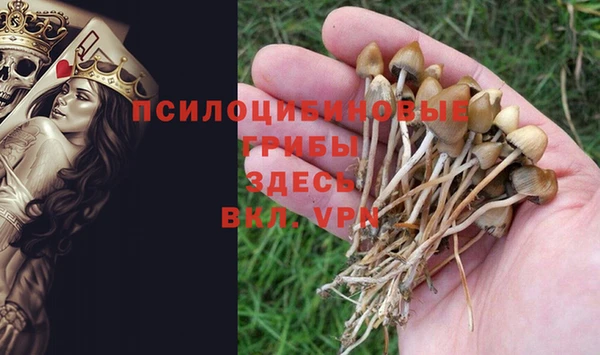 PSILOCYBIN Рославль