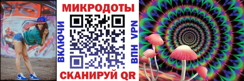 как найти закладки  omg ссылка  Галлюциногенные грибы Psilocybine cubensis  Казань 