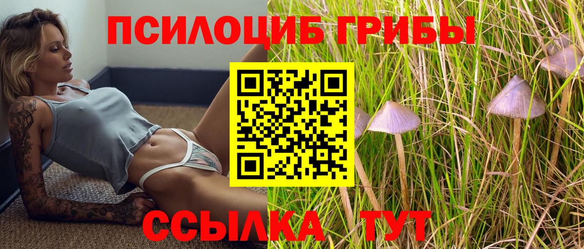 Галлюциногенные грибы Magic Shrooms  Вход с VPN  Казань  Псилоцибиновые грибы GOLDEN TEACHER 