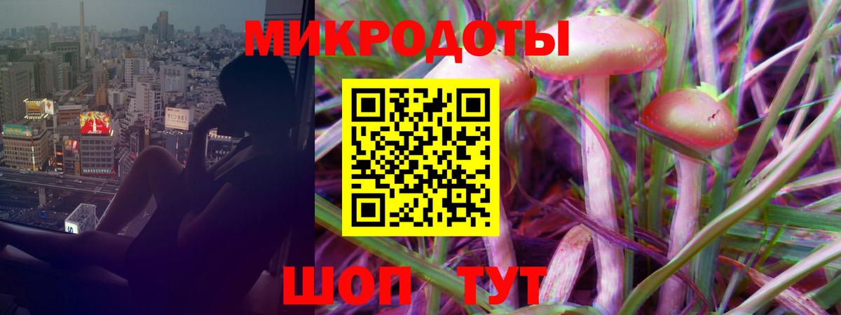 Псилоцибиновые грибы Psilocybe Казань